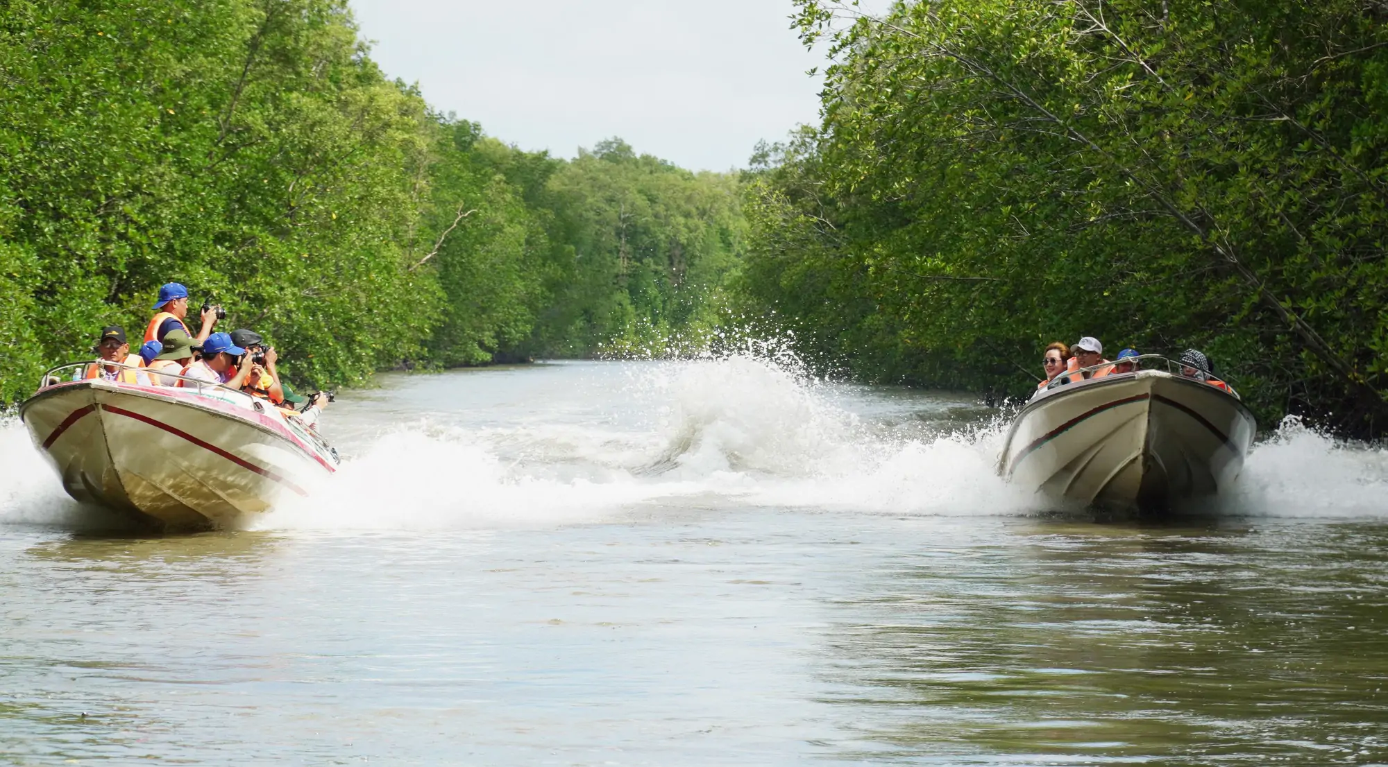 Đi thuyền xuy&ecirc;n rừng ngập mặn