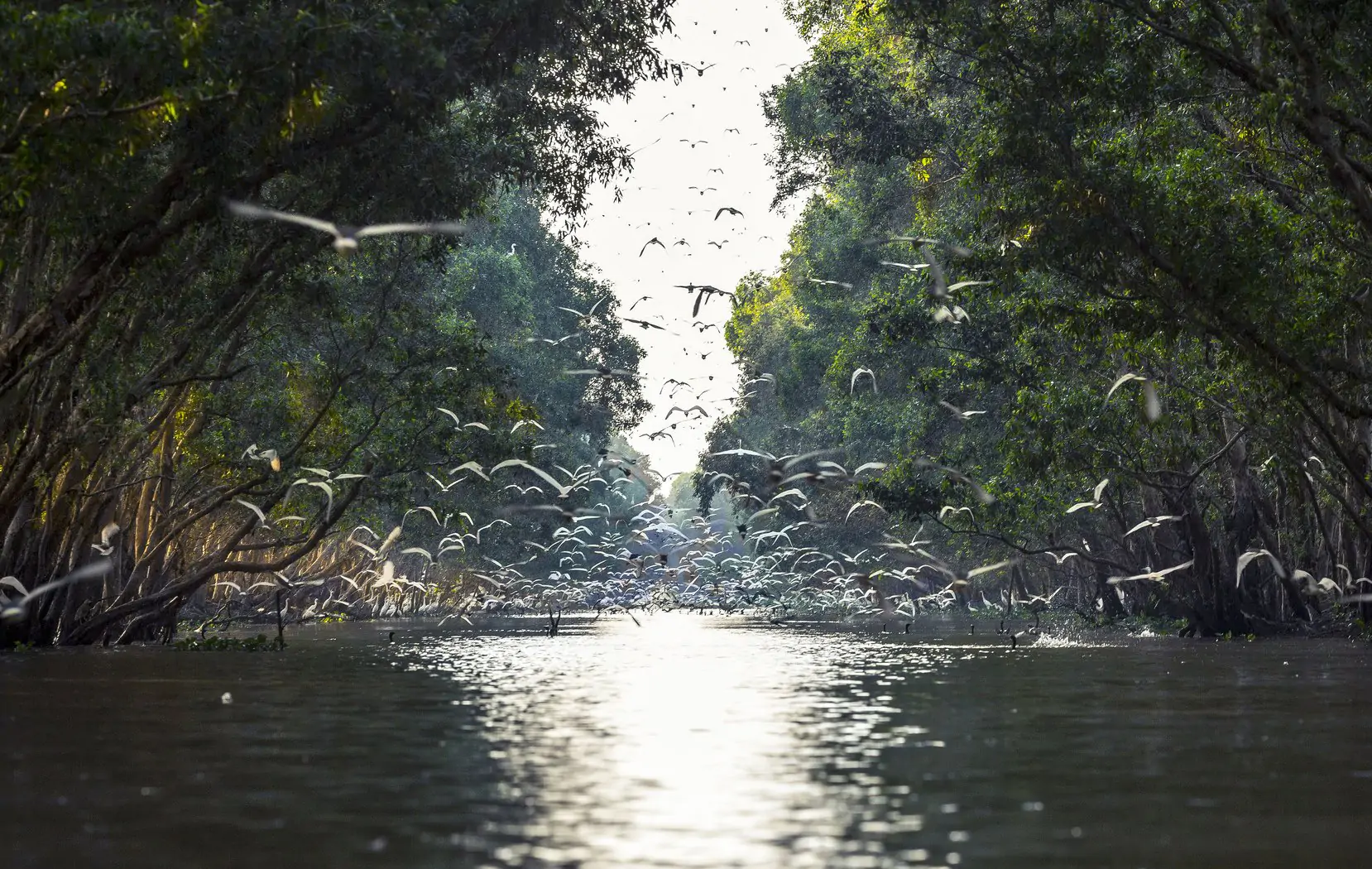 thu&ecirc; xe 7 chỗ đi Cần Giờ