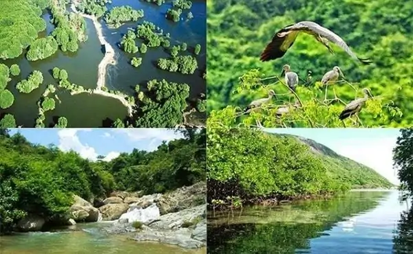 Thuê xe đi Hồ Tràm