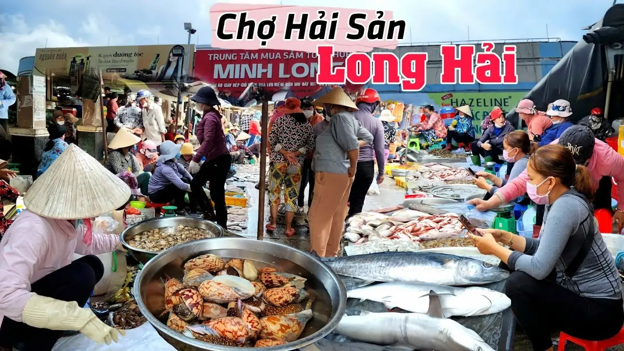 Thu&ecirc; 7 chỗ đi Long Hải