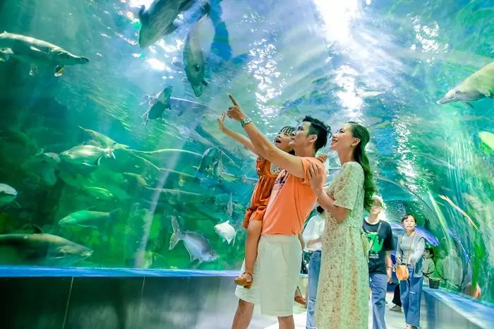 Thu&ecirc; Xe Đi Nha Trang 