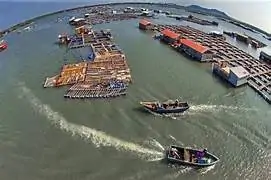 Thu&ecirc; Xe TPHCM Đi Vũng T&agrave;u 